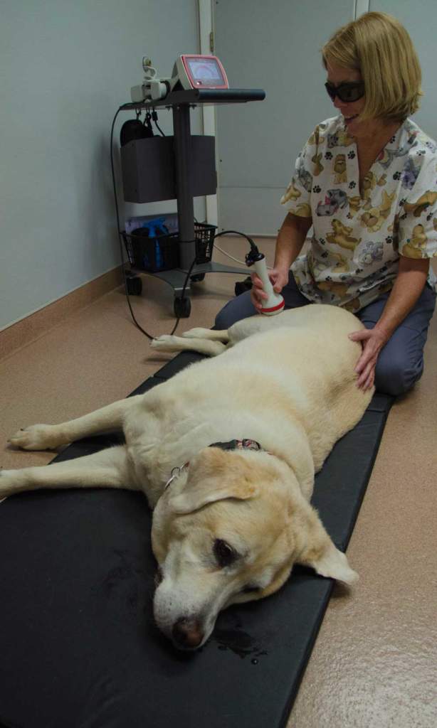 laser-therapy